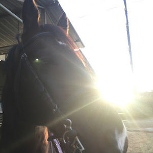 Meet your Posher, Vanessa